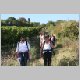 Wandern34-Abstieg nach Wachenheim.jpg